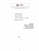 Diseño Organizacional y Procesos