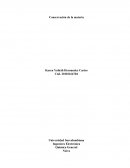 Informe de laboratorio 1 conservación de la materia