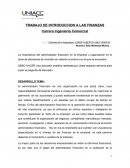 EL ADMINISTRADOR FINANCIERO