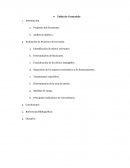 Análisis Financiero. Evaluación de Proyectos de Inversión