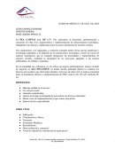 PRESENTACIÓN EJECUTIVA PEA CAPITAL