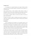 ENSAYO SOBRE ESTEREOTIPOS