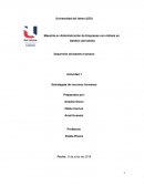 Desarrollo del talento humano Actividad 1 Estrategias de recursos humanos