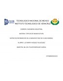 MANUFACTURA DE CLASE MUNDIAL