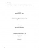 EL DERECHO Y SUS FUENTES