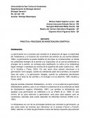 PRÁCTICA: PROCESOS DE INVESTIGACIÓN CIENTÍFICA