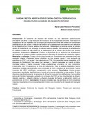 CADENA CINETICA ABIERTA VERSUS CADENA CINETICA CEERRADA EN LA REHABILITACION AVANZADA DEL MANGUITO ROTADOR