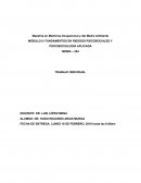 MÓDULO 8: FUNDAMENTOS EN RIESGOS PSICOSOCIALES Y PSICOSOCIOLOGÍA APLICADA