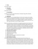 Juan Salvador Gaviota