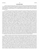 Into the Wild: Análisis