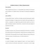 Ensayo ambiente externo y cultura organizacional