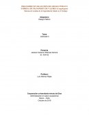 Riesgo publico Empresa CargaSeguro