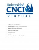 Los usuarios y la seguridad informática