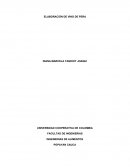 ELABORACIÓN DE VINO DE PERA