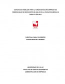 ESTUDIO DE VIABILIDAD PARA LA CREACIÓN DE UNA EMPRESA DE CREDENCIALES DE DESCUENTOS EN SALUD EN LA CIUDAD DE MEDELLÍN PARA EL AÑO 2018