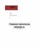 Ensayo Los “after school”