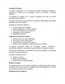 La gestión Excelente