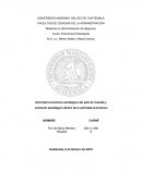 Actividad económica estratégica del país de Canadá y producto estratégico dentro de la actividad económica