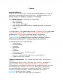 Charlas neuro. SISTEMA LÍMBICO