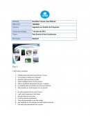 Text File 7 affirmative sentences