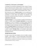 EL MUNDO DE LA PSICOLOGÍA Y EL SER HUMANO