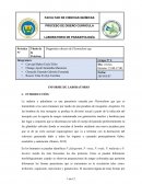 Título de la Práctica: Diagnóstico directo de Plasmodium spp