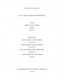 Fase 3 estudios culturales