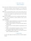 Redes Sociales. Idea, misión, visión y objetivos estratégicos