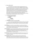 Qué es un GDSS y un SIE