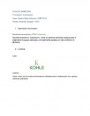 PLAN DE MARKETING empresa: KOHLE chemical
