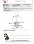 FUNCION DE NUTRICIÓN DE LOS SERES VIVOS