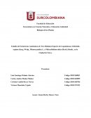 Anteproyecto Biología de las Plantas