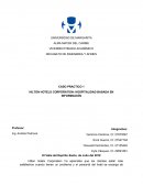 Sistemas de informacion gerencial caso Hilton hotels