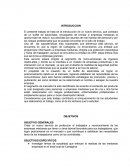 PLAN DE NEGOCIO: BUFFET DE SALUBRISTAS