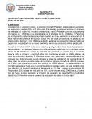 Finanzas empresa minera El Pelambre