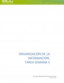 Estrategias de organización de la información