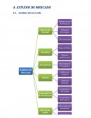 Analisis de mercado, plan de negocio