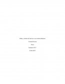 Ondas y cálculo de fuerzas en un sistema dinámico