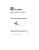 Auditoria empresa Guca Conforte