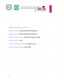 Actividad 1: Comportamiento Organizacional