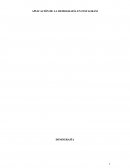 APLICACIÓN DE LA DEMOGRAFÍA EN INSTAGRAM