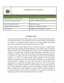 INFORME PRACTICAS PREPOSICIONALES "LA CHACRA"