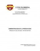Administracion de la produccion. Producto de estudio: Triton Water