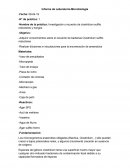 Informe de Microbiología