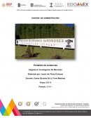 Portafolio de evidencia. Investigación De Mercados