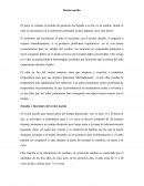 Desarrollo del recien nacido