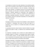 Arqueologia Subacuatica