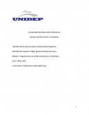 Organización de la Mercadotecnia y Publicidad