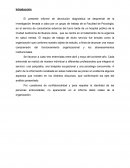 Modelo de Trabajo, Psicología Institucional UBA