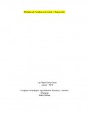 Medidas de Tendencia Central y Dispersión